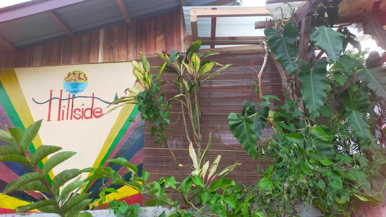 Mil'S Hillside Tourist Inn San Vicente  Εξωτερικό φωτογραφία