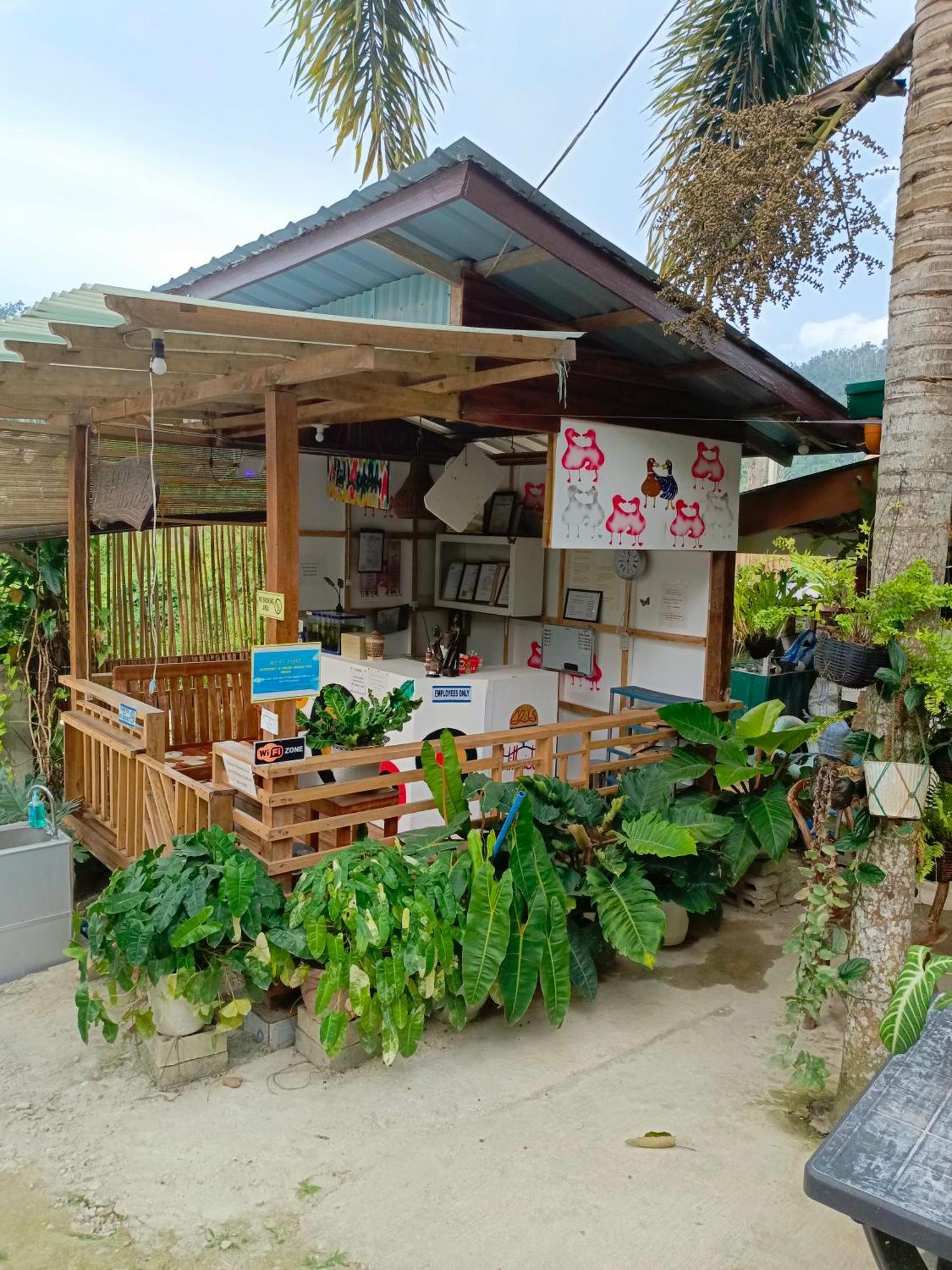 Mil'S Hillside Tourist Inn San Vicente  Εξωτερικό φωτογραφία