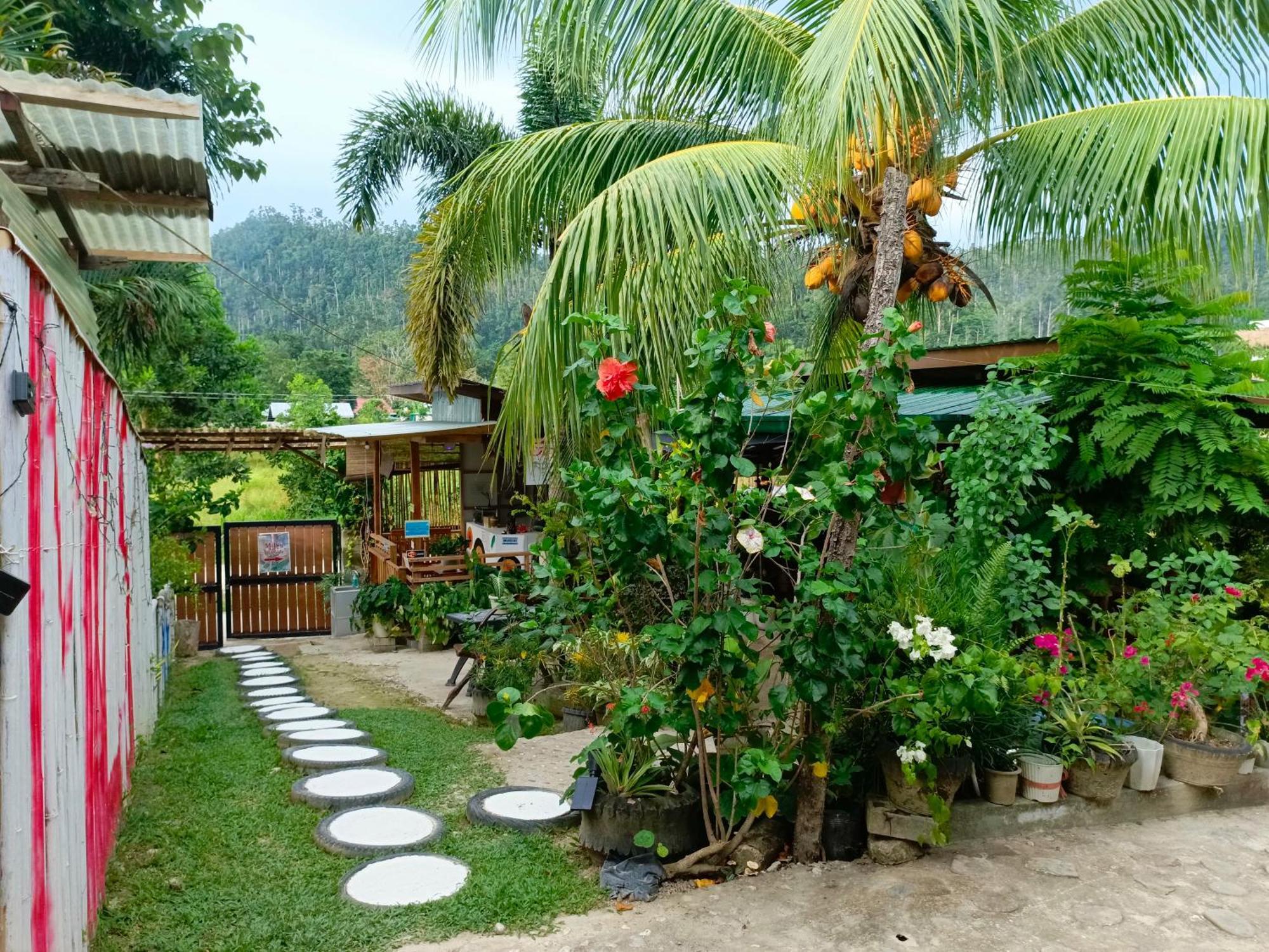 Mil'S Hillside Tourist Inn San Vicente  Εξωτερικό φωτογραφία